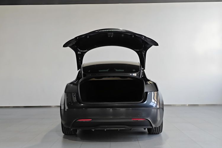 Tesla Model 3 2025 #23 Tesla Model 3 2025 car image #23