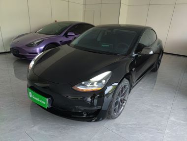 Tesla Model 3 2021 Tesla Model 3 2021 car image