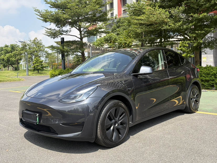 Tesla Model Y 2024 Tesla Model Y 2024 car image
