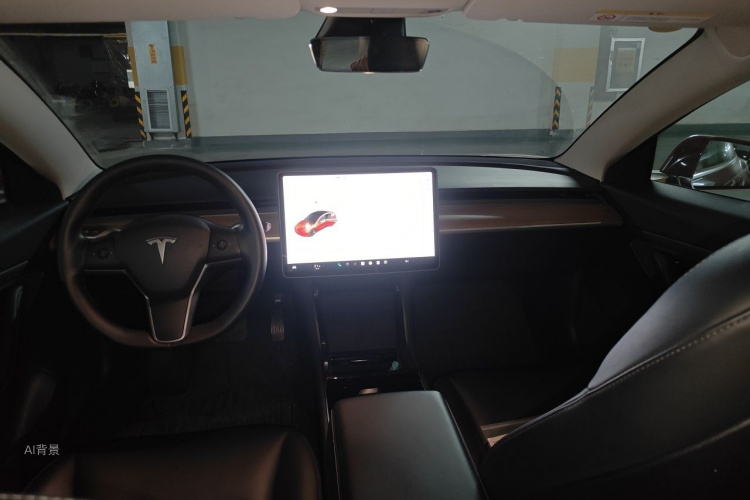 Tesla Model 3 2020 car image #11