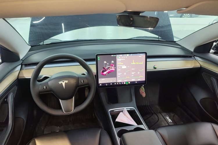 Tesla Model 3 2021 #10 Tesla Model 3 2021 car image #10