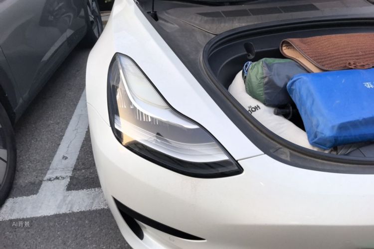 Tesla Model 3 2020 #8 Tesla Model 3 2020 car image #8