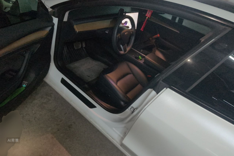 Tesla Model 3 2021 #18 Tesla Model 3 2021 car image #18