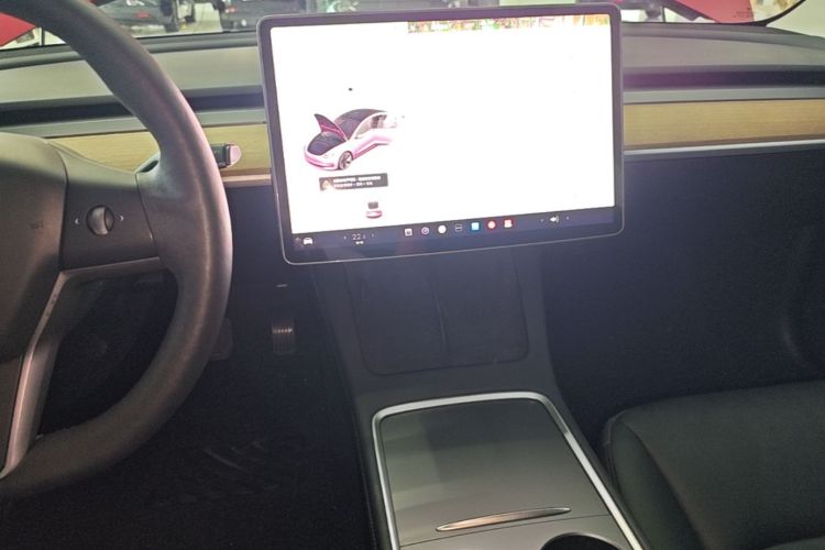 Tesla Model 3 2021 #17 Tesla Model 3 2021 car image #17
