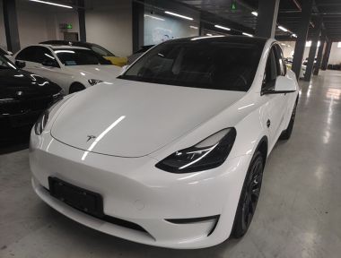 Tesla Model Y 2021 Tesla Model Y 2021 immagine di auto