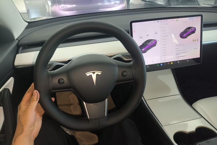 Tesla Model 3 2020 #15 Tesla Model 3 2020 car image #15