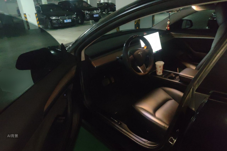 Tesla Model 3 2021 imagem de carro #18
