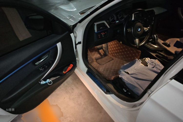 BMW 3 Series 2017 car image #18