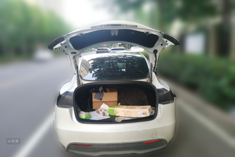 Tesla Model 3 2023 car image #21