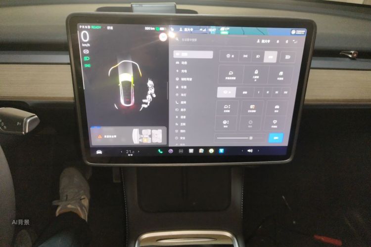 Tesla Model Y 2023 car image #13