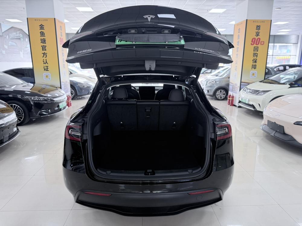 Tesla Model Y 2022 car image #12