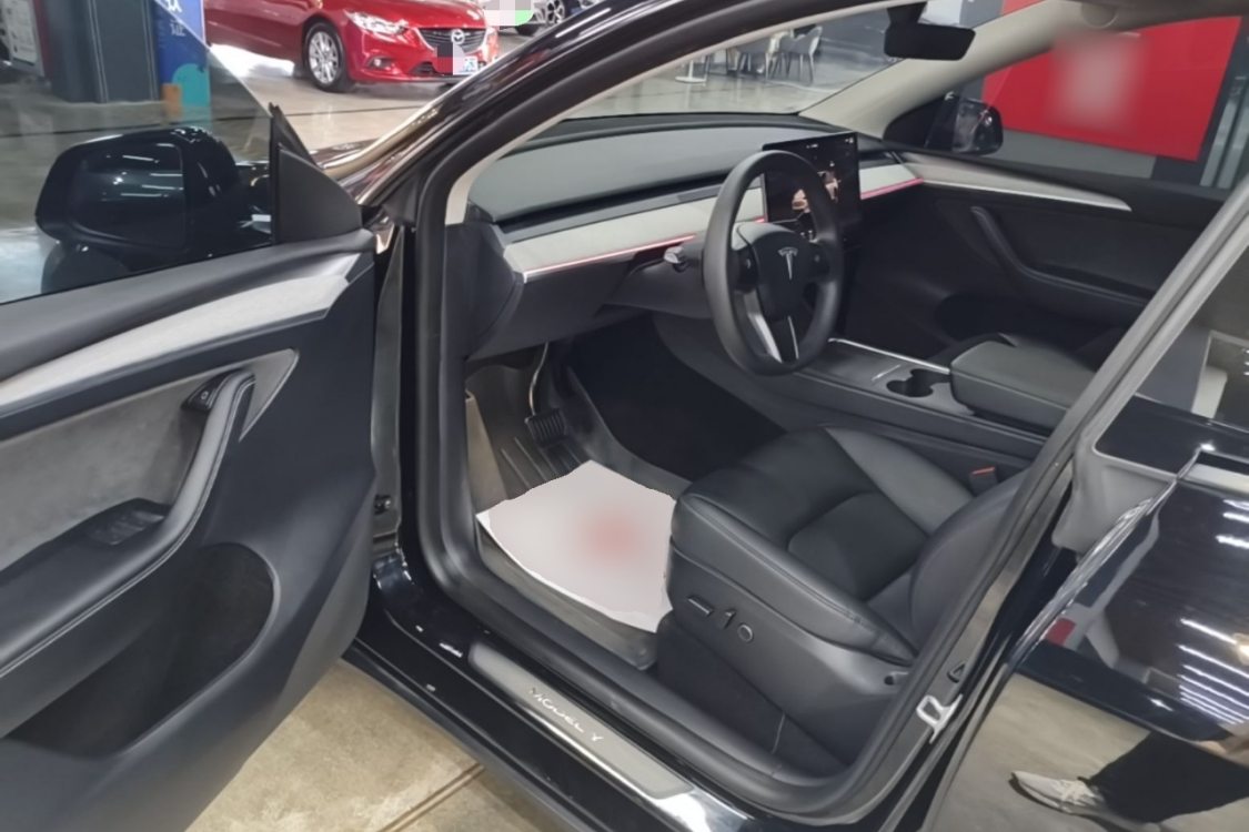 Tesla Model Y 2024 car image #12