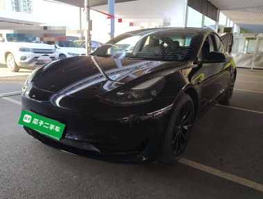 Tesla Model 3 2021 car image 