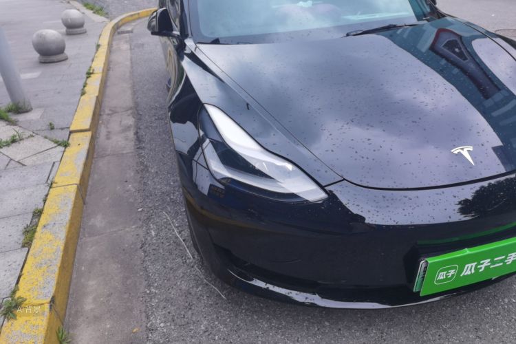 Tesla Model 3 2021 car image #8