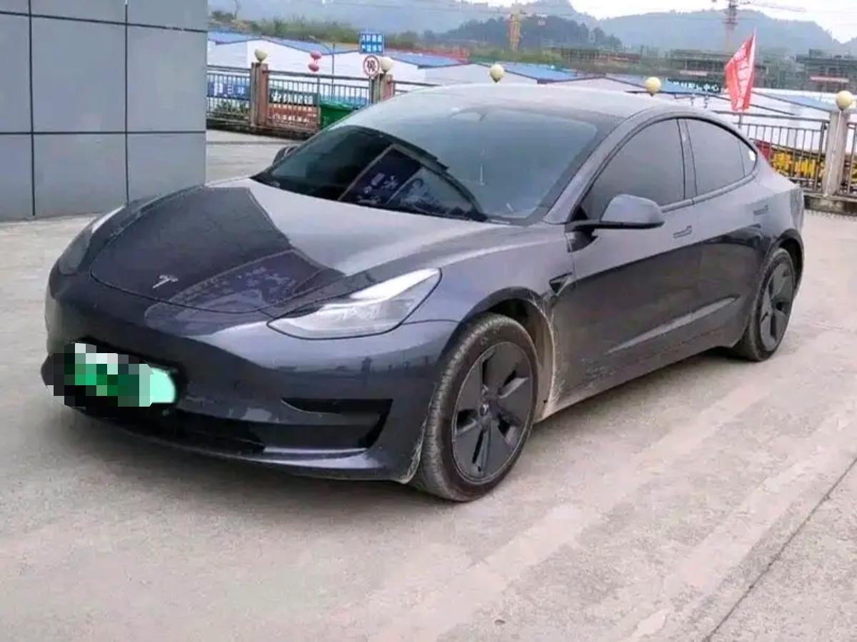 Tesla Model 3 2022 Tesla Model 3 2022 car image