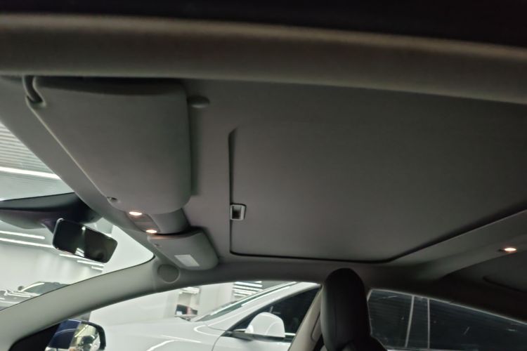 Tesla Model 3 2020 car image #18