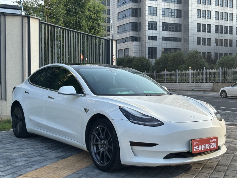 Tesla Model 3 2020 #3 Tesla Model 3 2020 car image #3