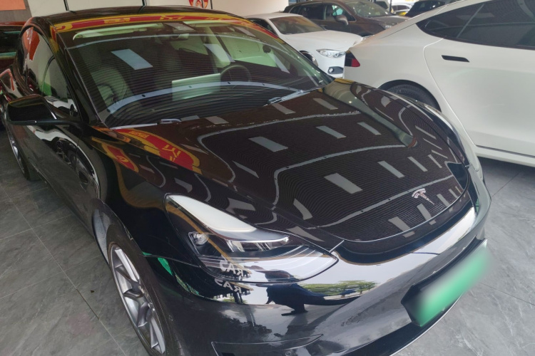 Tesla Model 3 2022 car image #4