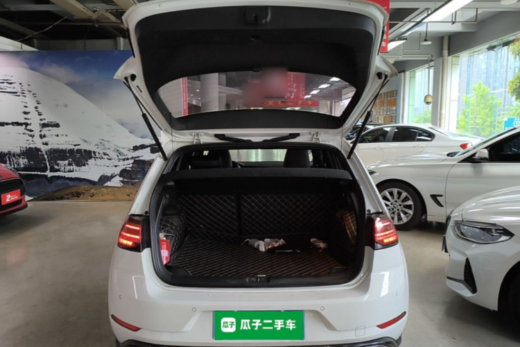 Volkswagen Golf 2019 #19 Volkswagen Golf 2019 car image #19