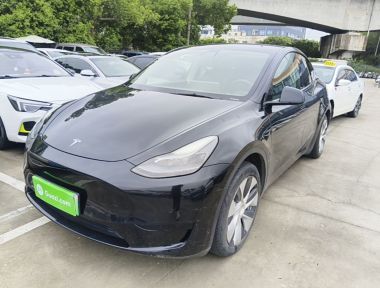 Tesla Model Y 2023 Tesla Model Y 2023 car image