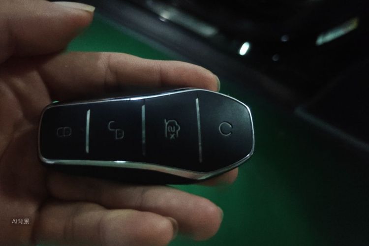 BYD Han 2023 car image #10