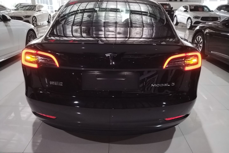 Tesla Model 3 2020 #6 Tesla Model 3 2020 car image #6