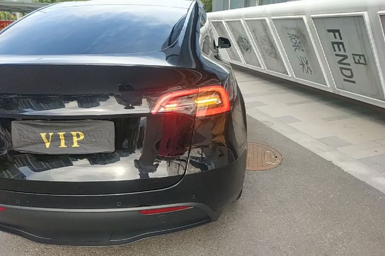 Tesla Model Y 2021 car image #8