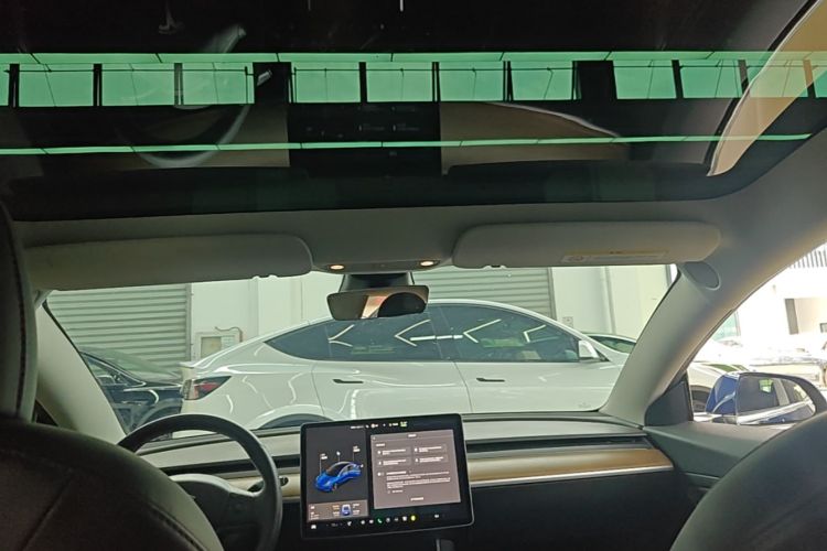 Tesla Model 3 2020 car image #18