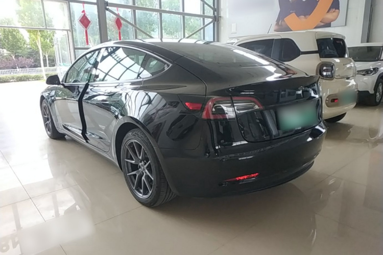 Tesla Model 3 2022 #5 Tesla Model 3 2022 car image #5