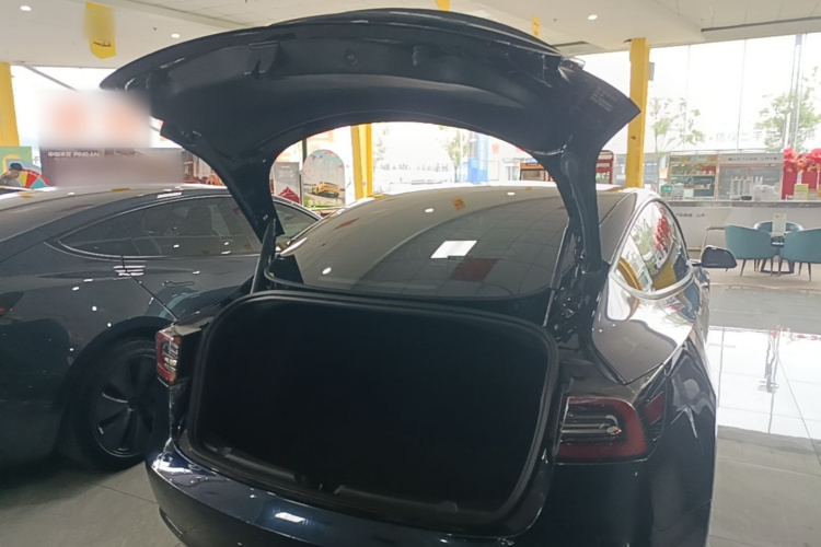 Tesla Model 3 2023 car image #21