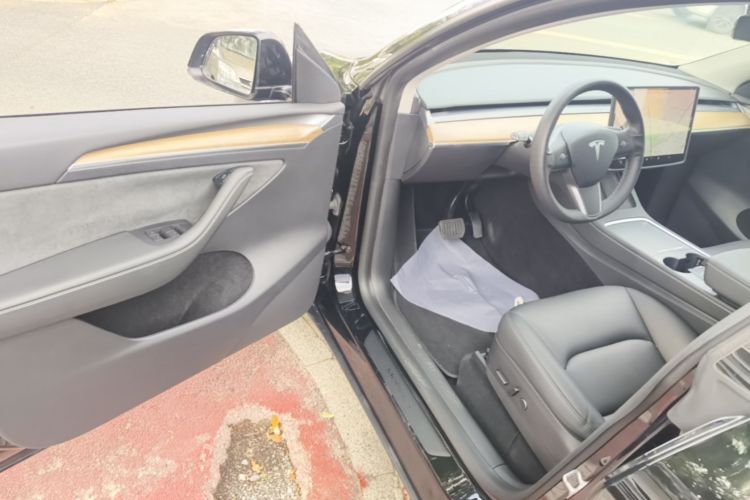 Tesla Model Y 2021 car image #12
