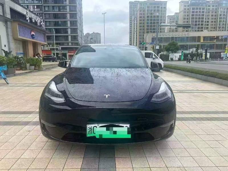 Tesla Model Y 2021 Tesla Model Y 2021 imagen de coche