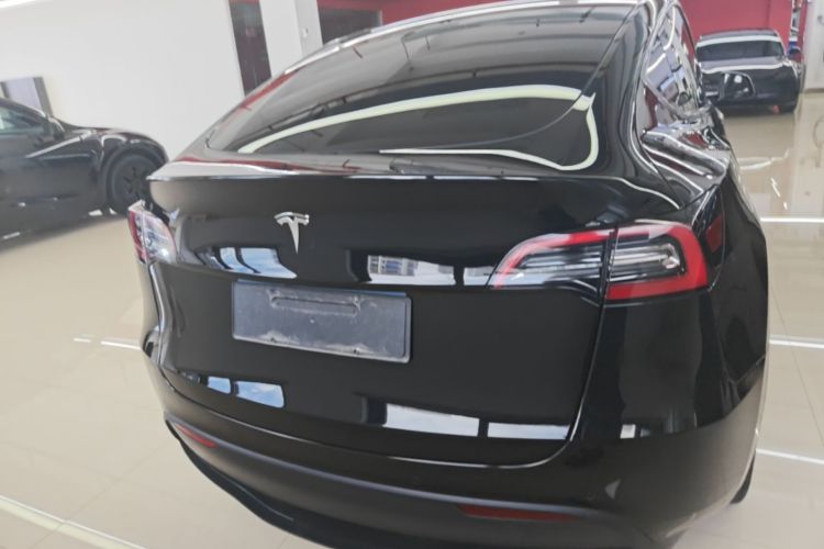 Tesla Model Y 2023 #6 Tesla Model Y 2023 car image #6