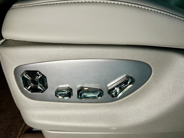 Denza N9 2025 car image #45