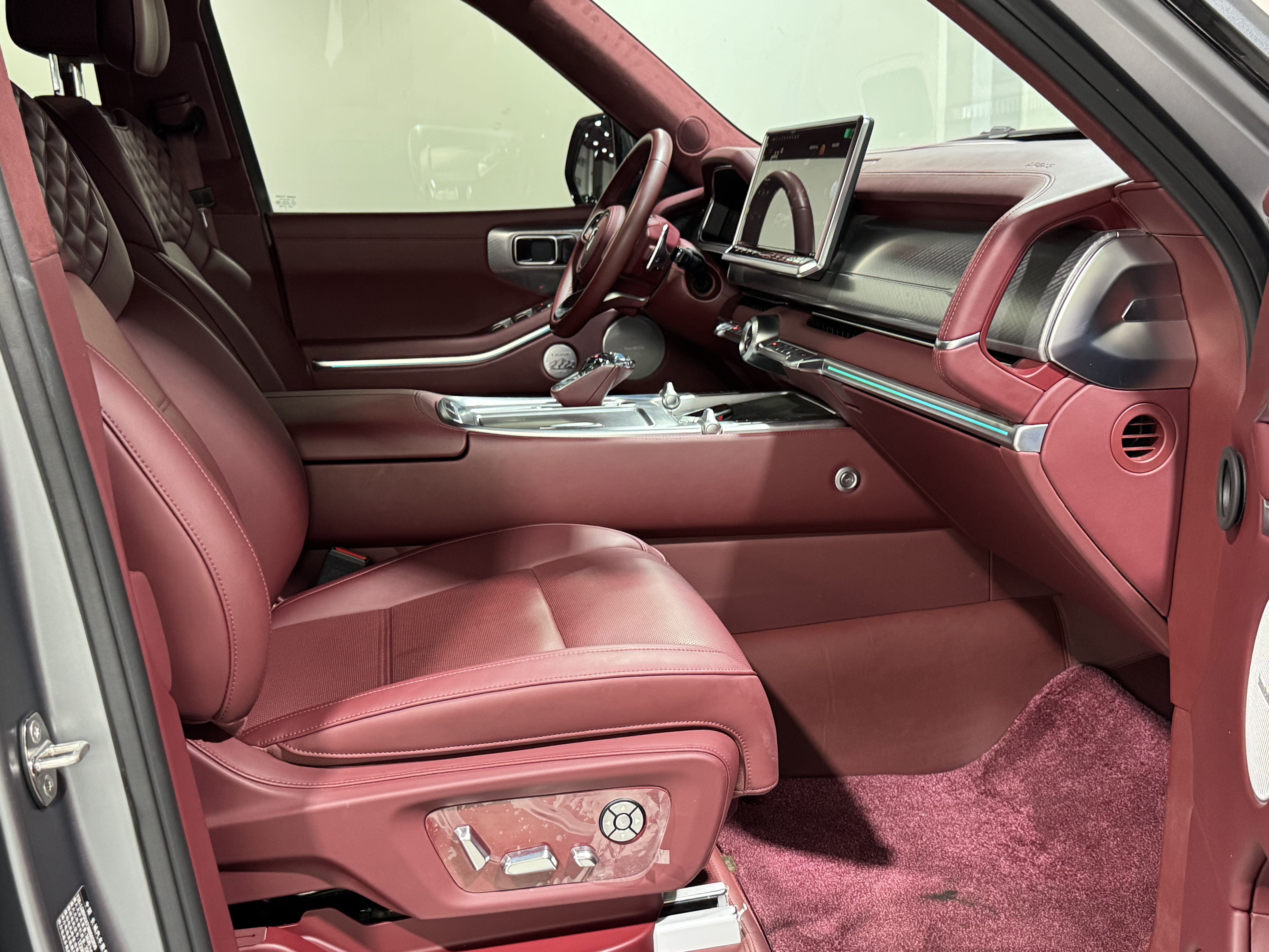 Tank 700 New Energy 2024 immagine di auto #45