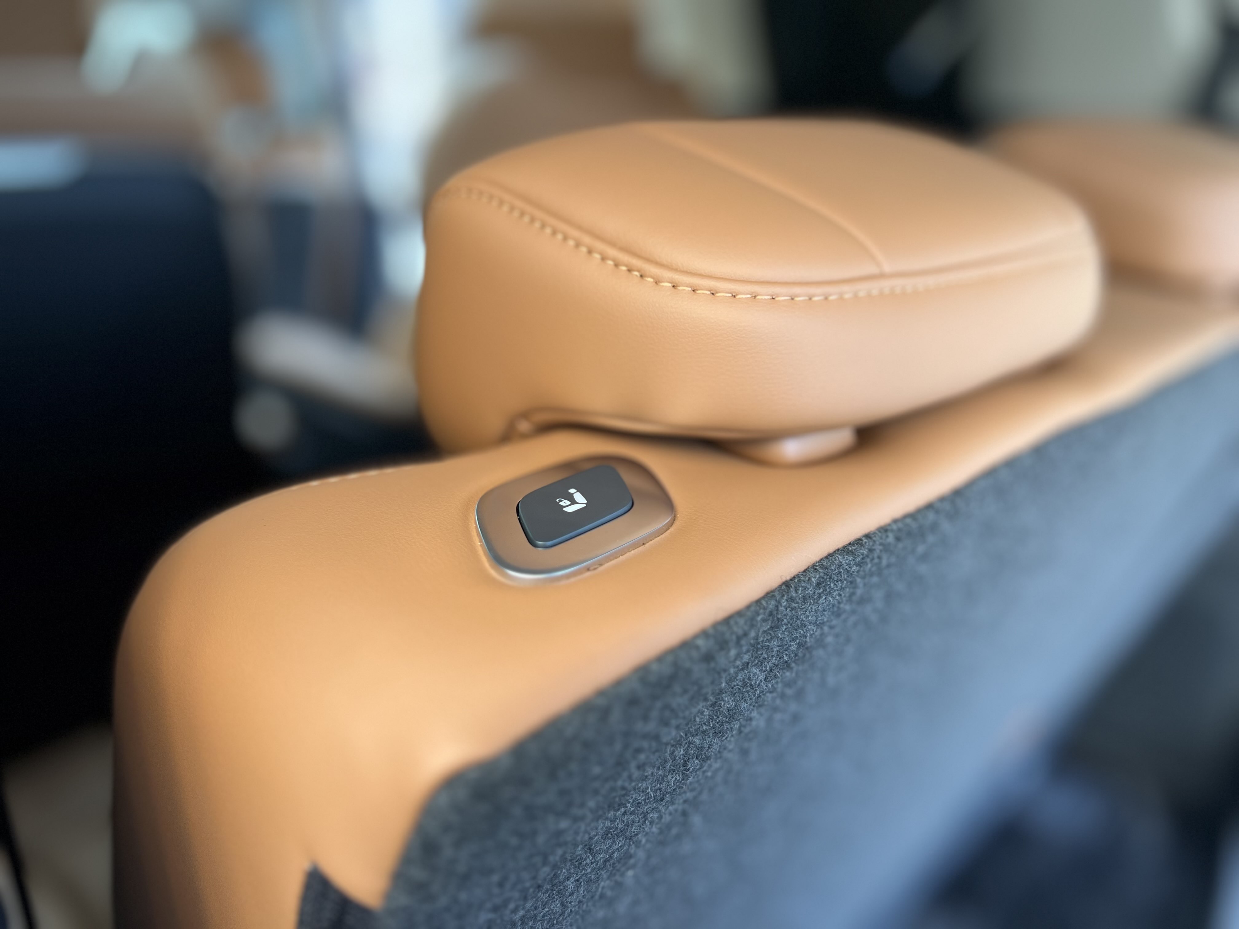 HongQi HQ9 PHEV 2024 #45 HongQi HQ9 PHEV 2024 car image #45