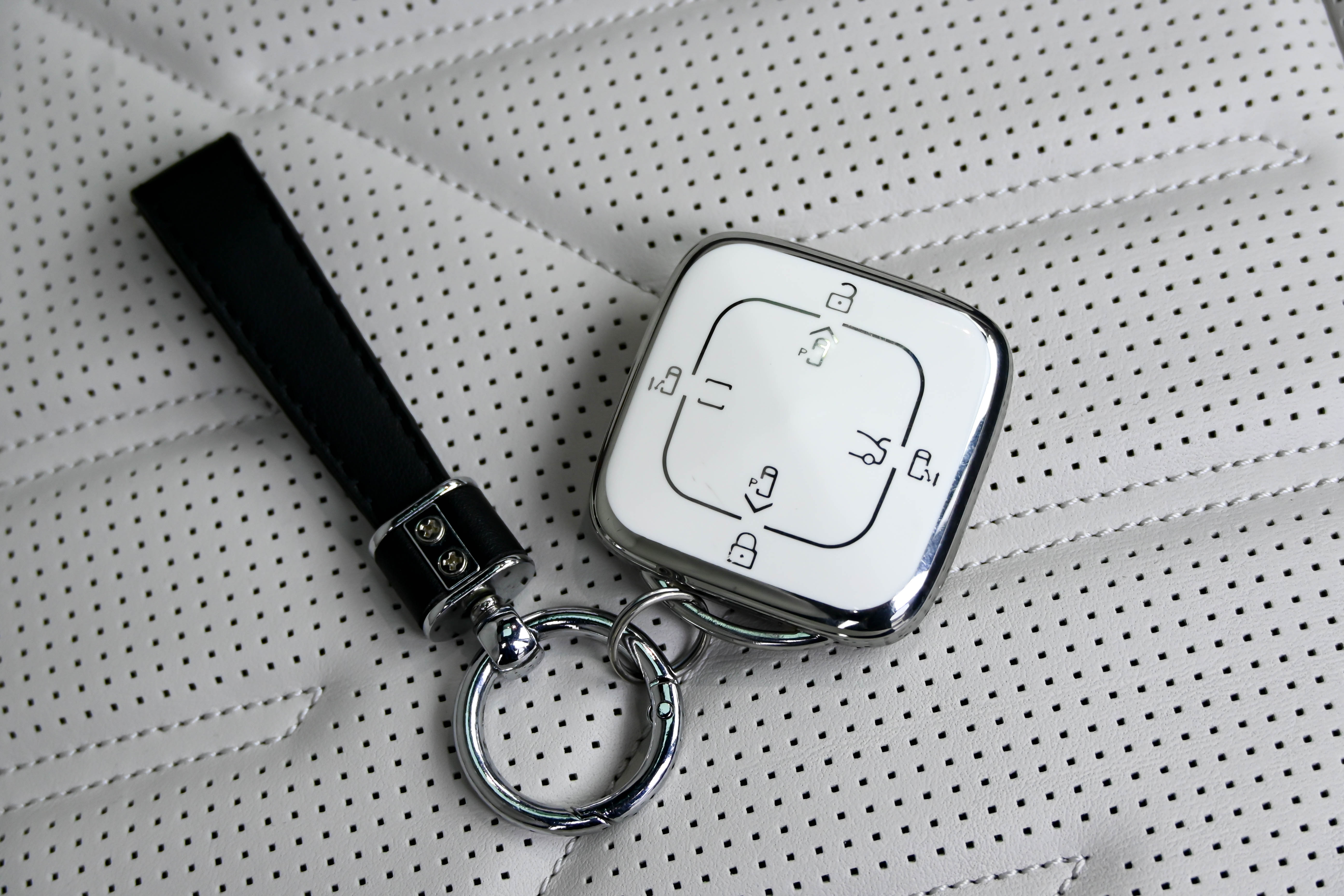 极氪 极氪009 2024 汽车图片 #45