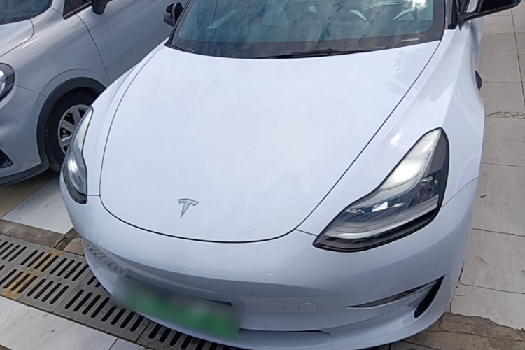 Tesla Model 3 2021 #3 Tesla Model 3 2021 car image #3