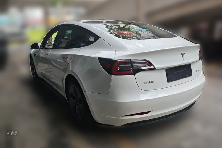 Tesla Model 3 2020 car image #5