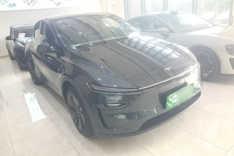 Tesla Model Y 2025 immagine di auto #4