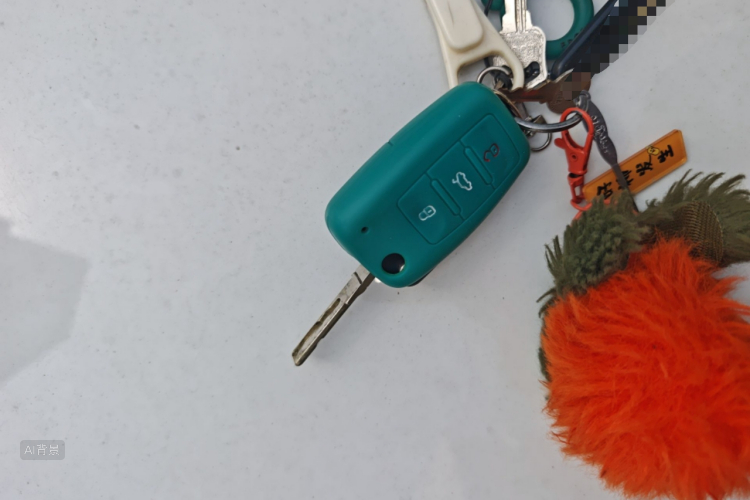 Volkswagen Polo 2016 car image #10