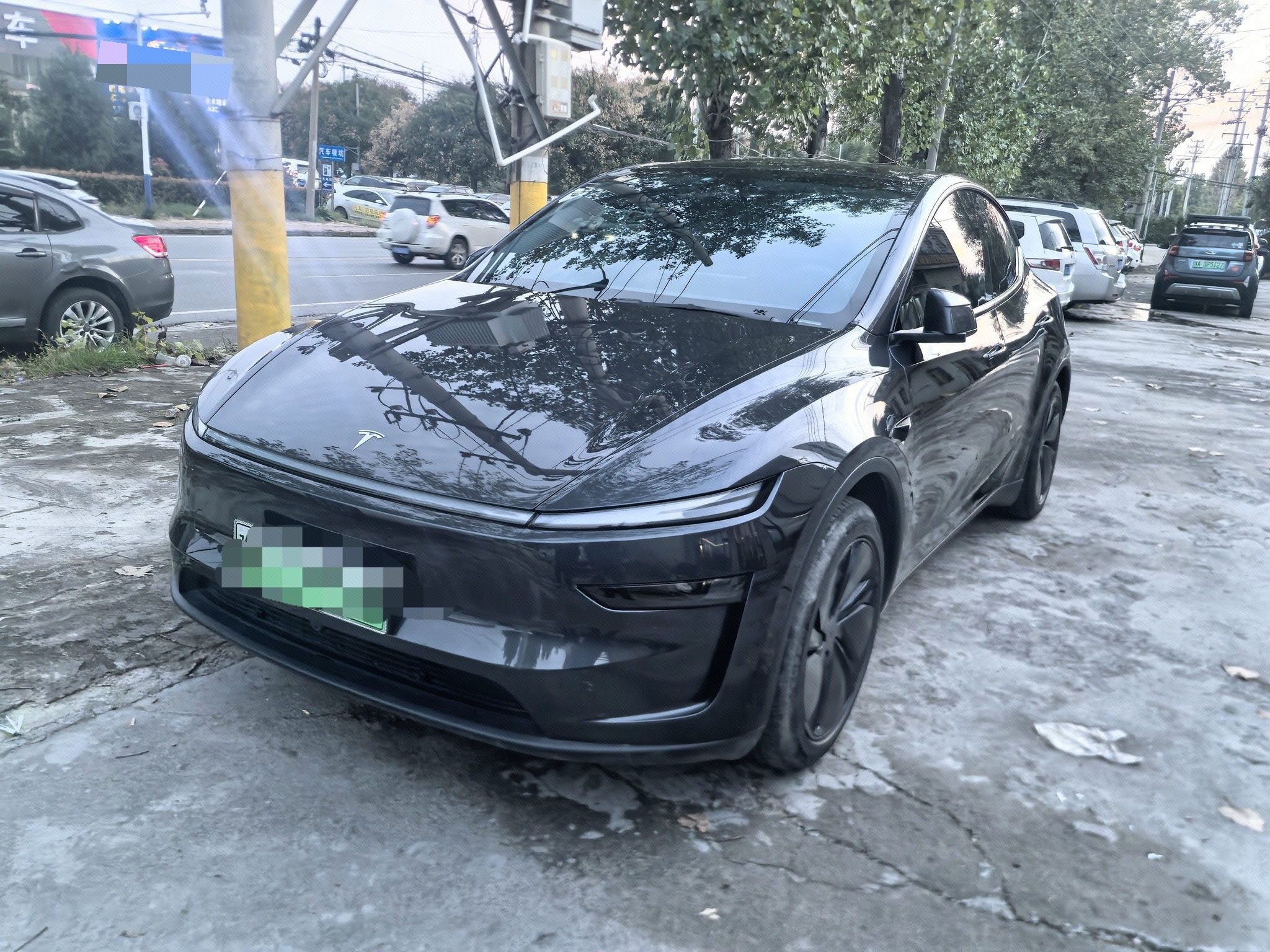 Tesla Model Y 2025 car image 