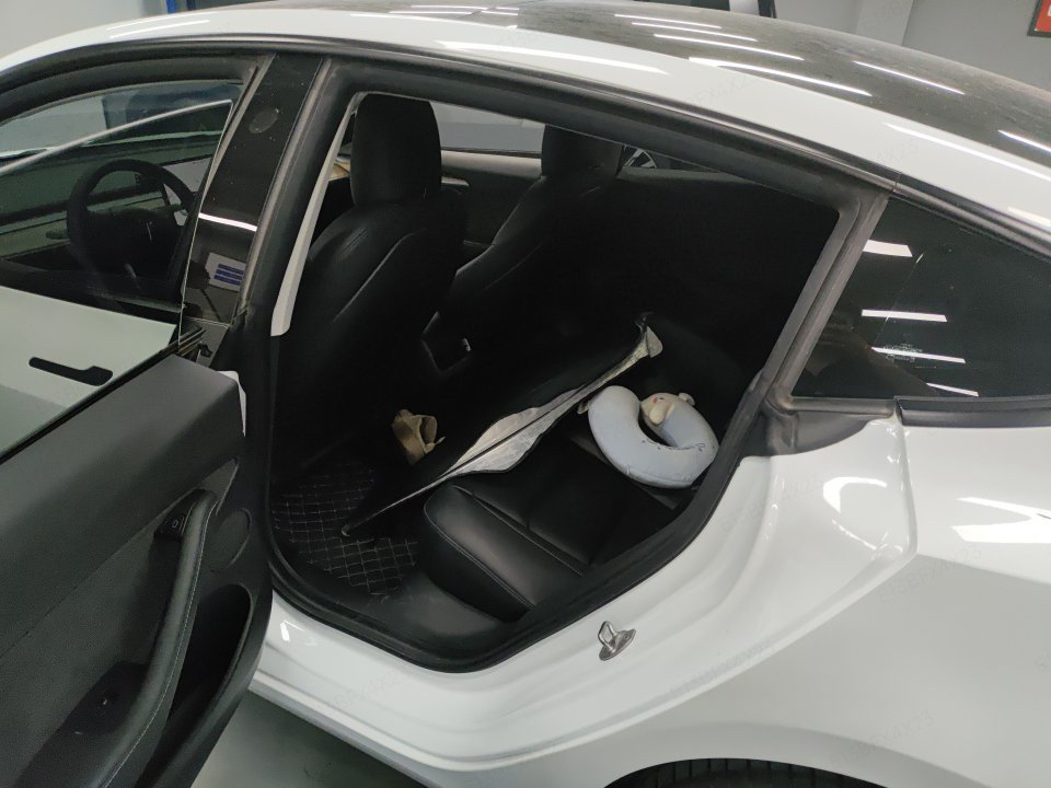 Tesla Model 3 2021 #3 Tesla Model 3 2021 car image #3