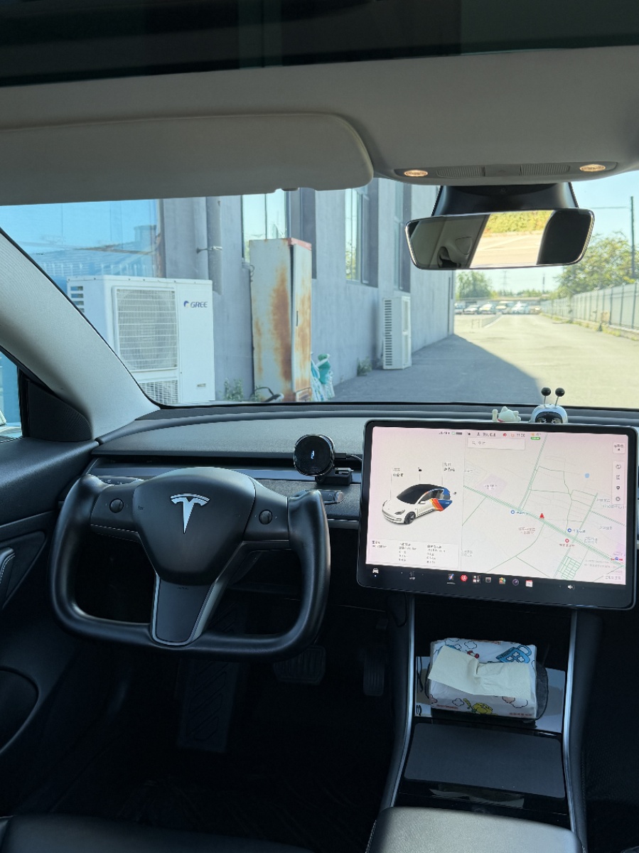 Tesla Model 3 2020 car image #7