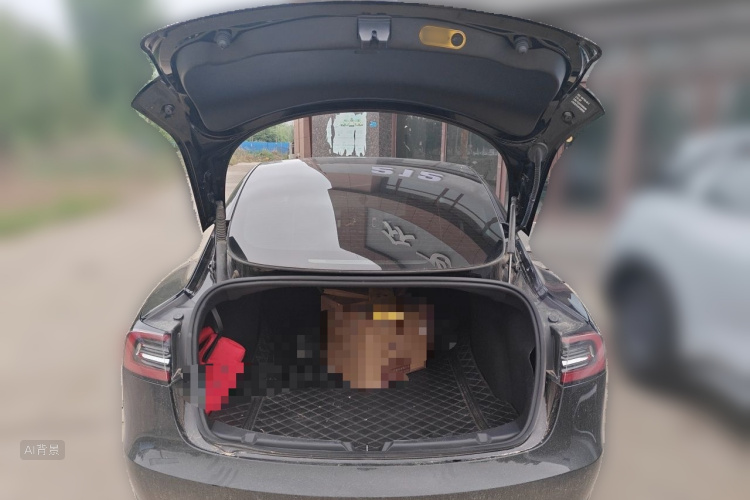 Tesla Model 3 2023 #21 Tesla Model 3 2023 car image #21