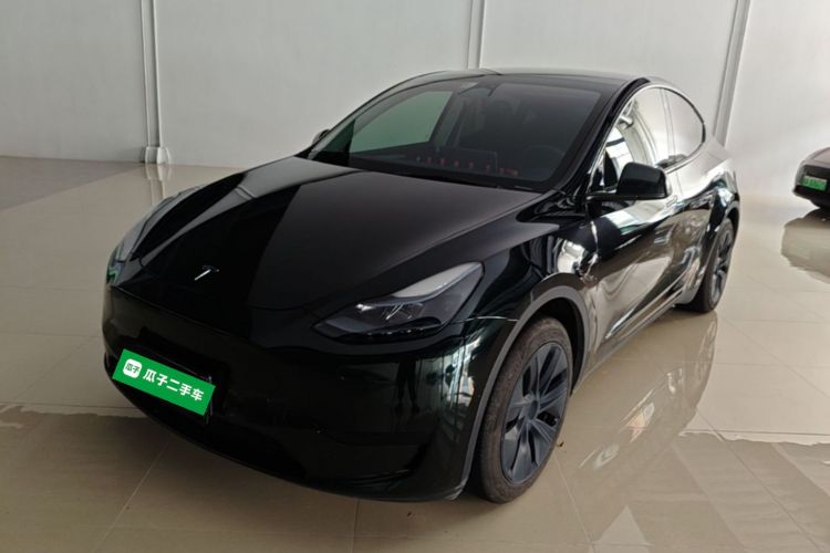 Tesla Model Y 2024 #2 Tesla Model Y 2024 car image #2