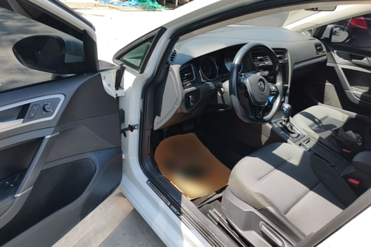 Volkswagen Golf 2019 car image #12