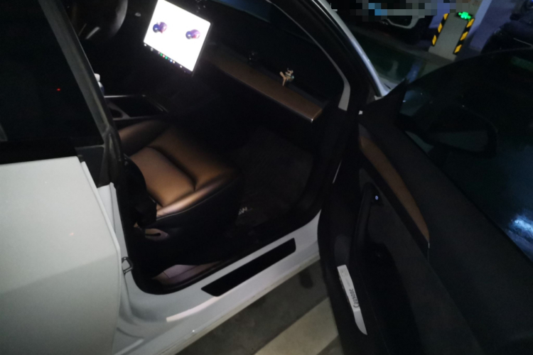 Tesla Model 3 2022 #23 Tesla Model 3 2022 car image #23