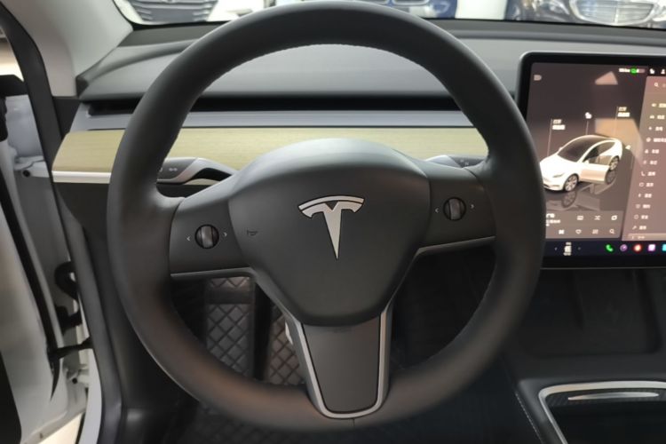 Tesla Model Y 2023 #11 Tesla Model Y 2023 car image #11