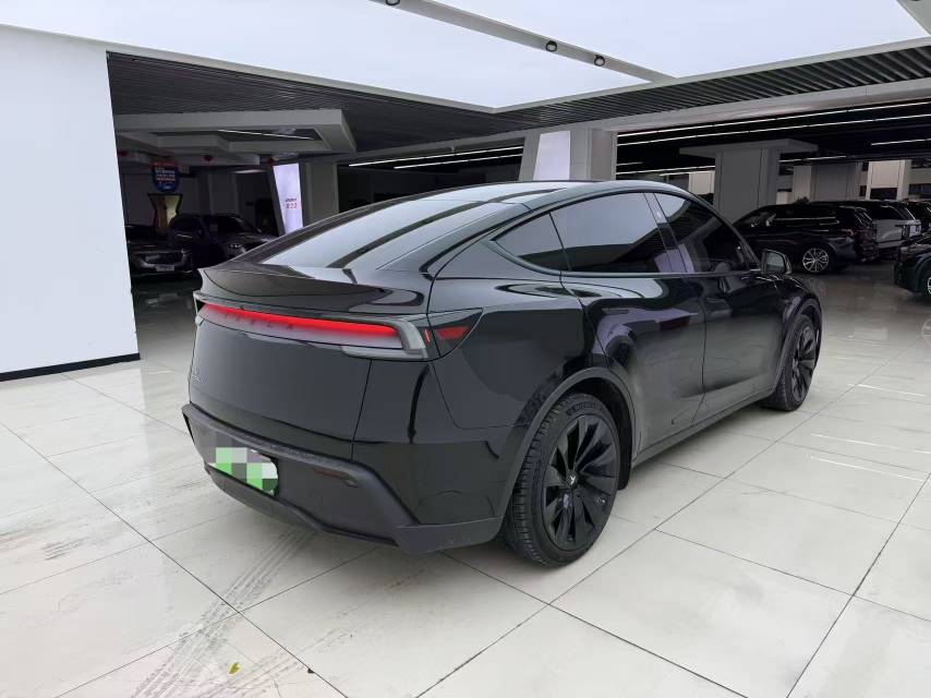 Tesla Model Y 2025 car image #8